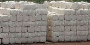 Cotton Bales