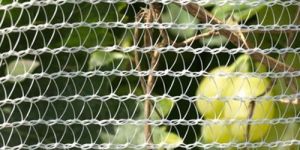 HDPE Anti Hail Net