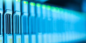 Domain Hosting Services