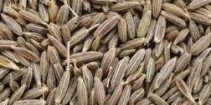 Cumin Seeds (Zeera)