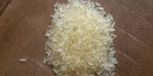 Swarna Rice