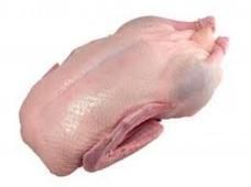 Pekin Duck Dressed Raw