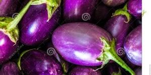 Eggplant