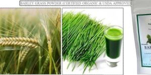 Barley Grass Powder