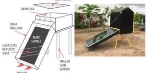 Solar Dryer