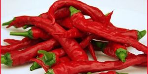 Red Chilies