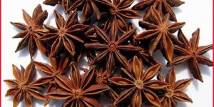Star Aniseed