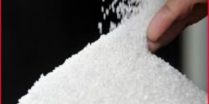 Sugar