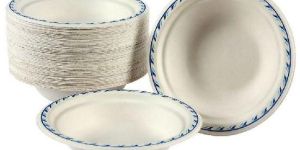 Disposable Paper Bowls