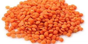 Masoor Dal