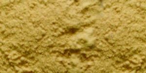 Cassia Tora Powder