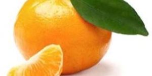 Fresh Mandarin Orange