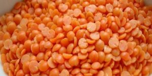 Masoor Dal