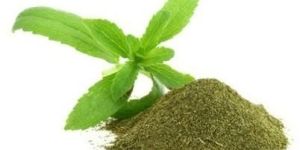 Stevia Extract