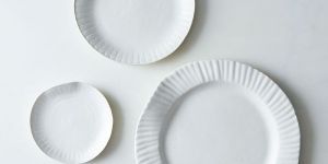 Paper Plate