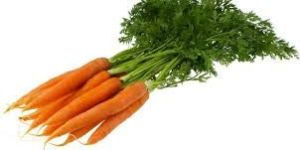 Fresh Carrot