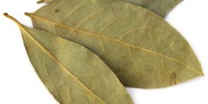 Bay Leaves