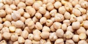 White Chickpeas