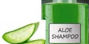 Aloe Vera Anti Dandruff Shampoo
