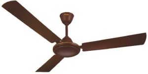 Fans