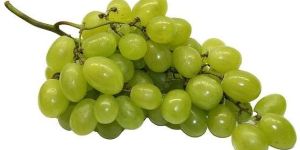 Thompson Seedless Grapes