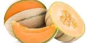 Fresh Muskmelon