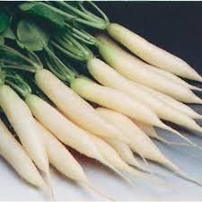 Fresh Radish