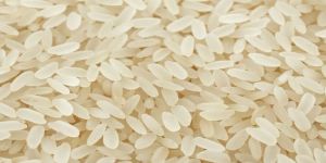 Ponni Raw Rice
