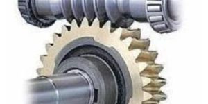 Worm Gear