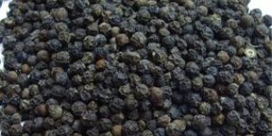 Black Pepper