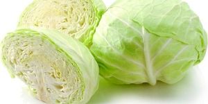 Fresh Cabbage