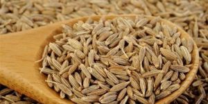 Cumin Seeds