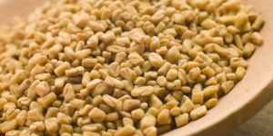 Fenugreek Seeds