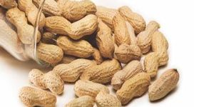 Shelled Groundnuts