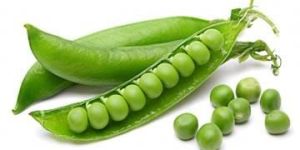 Fresh Peas