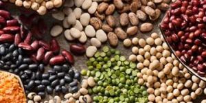 Pulses/Legumes