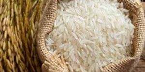 Basmati Rice