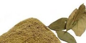 Tejpatta Powder