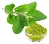 Tulsi Powder