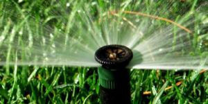 Landscape Irrigation System