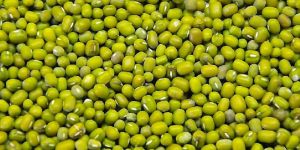 Green Moong Dal