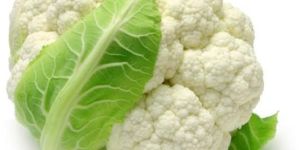Fresh Cauliflower