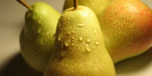 Fresh Pears