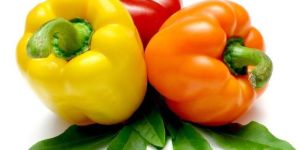 Fresh Bell Pepper