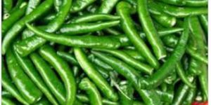 Frozen Green Chilli
