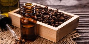 Clove Oil