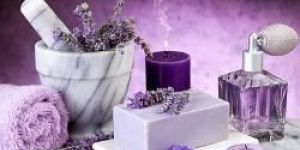 Lavender Fragrance Oil