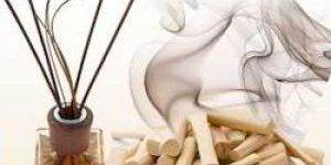 Sandalwood Fragrance Oil