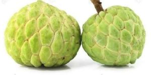 Custard Apple