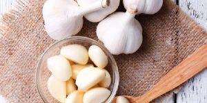 Fresh Garlic